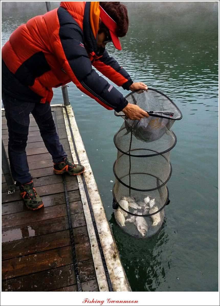 실리곡화곡지제일 조황 (조황조행기 - 특파원조황)