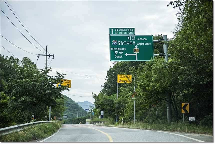 대류 한버들 사짜 대물 (조황조행기 - 특파원조황)
