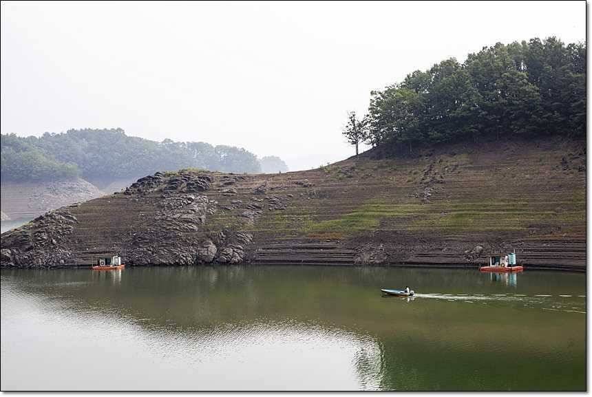 충주호 월척장어 (조황조행기 - 특파원조황)