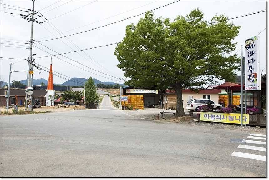 대류 한버들 사짜 대물 (조황조행기 - 특파원조황)