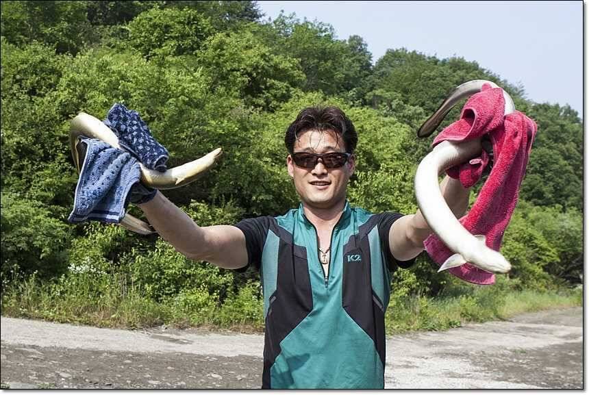 충주호 월척장어 (조황조행기 - 특파원조황)