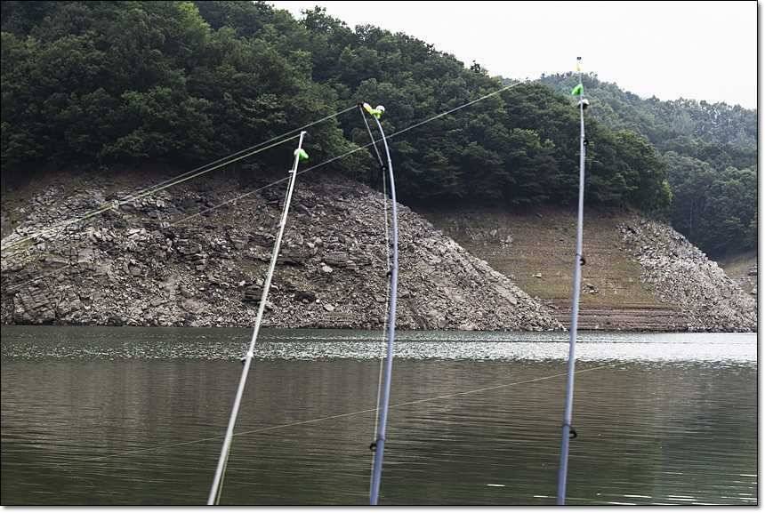 신매 월척병호 월척돌감 월척 (조황조행기 - 특파원조황)