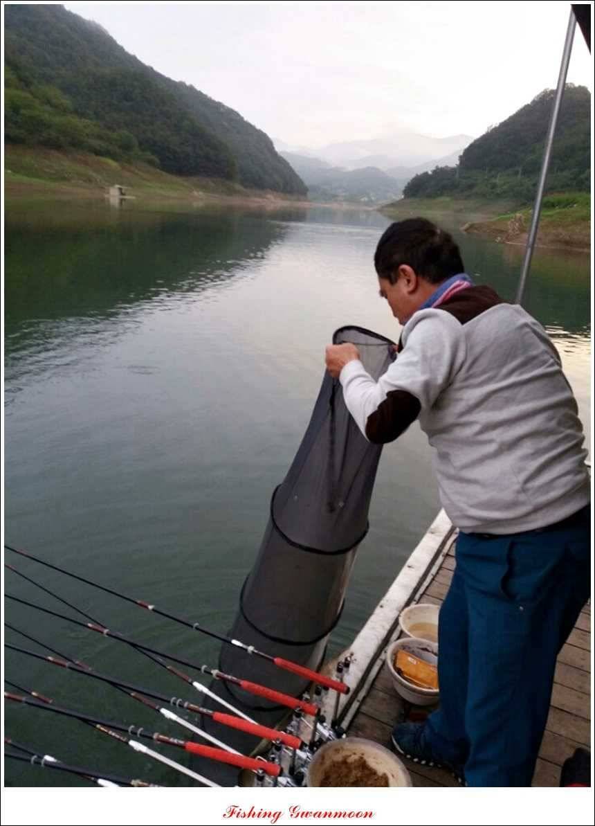 한버들 월척 및 마릿수실리곡 월척충주호 노지 월척 (조황조행기 - 특파원조황)