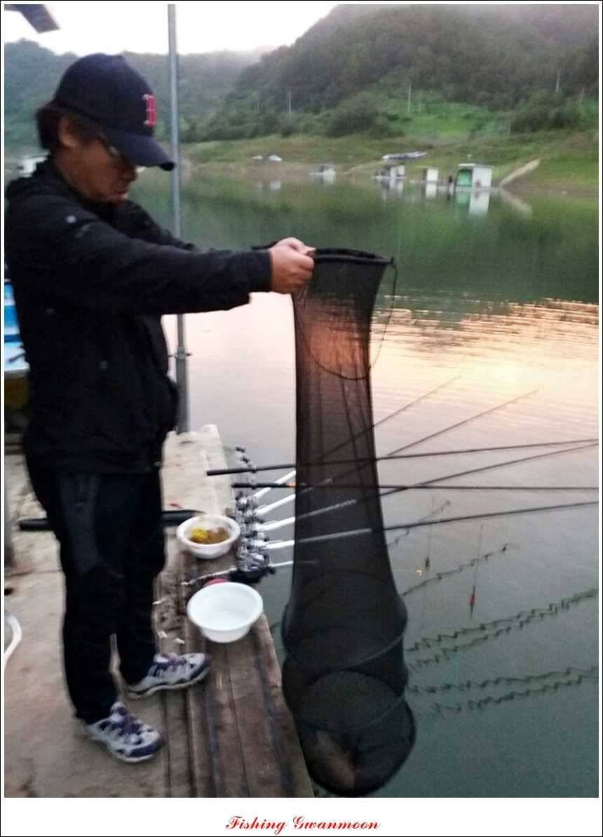 한버들 월척 및 마릿수실리곡 월척충주호 노지 월척 (조황조행기 - 특파원조황)