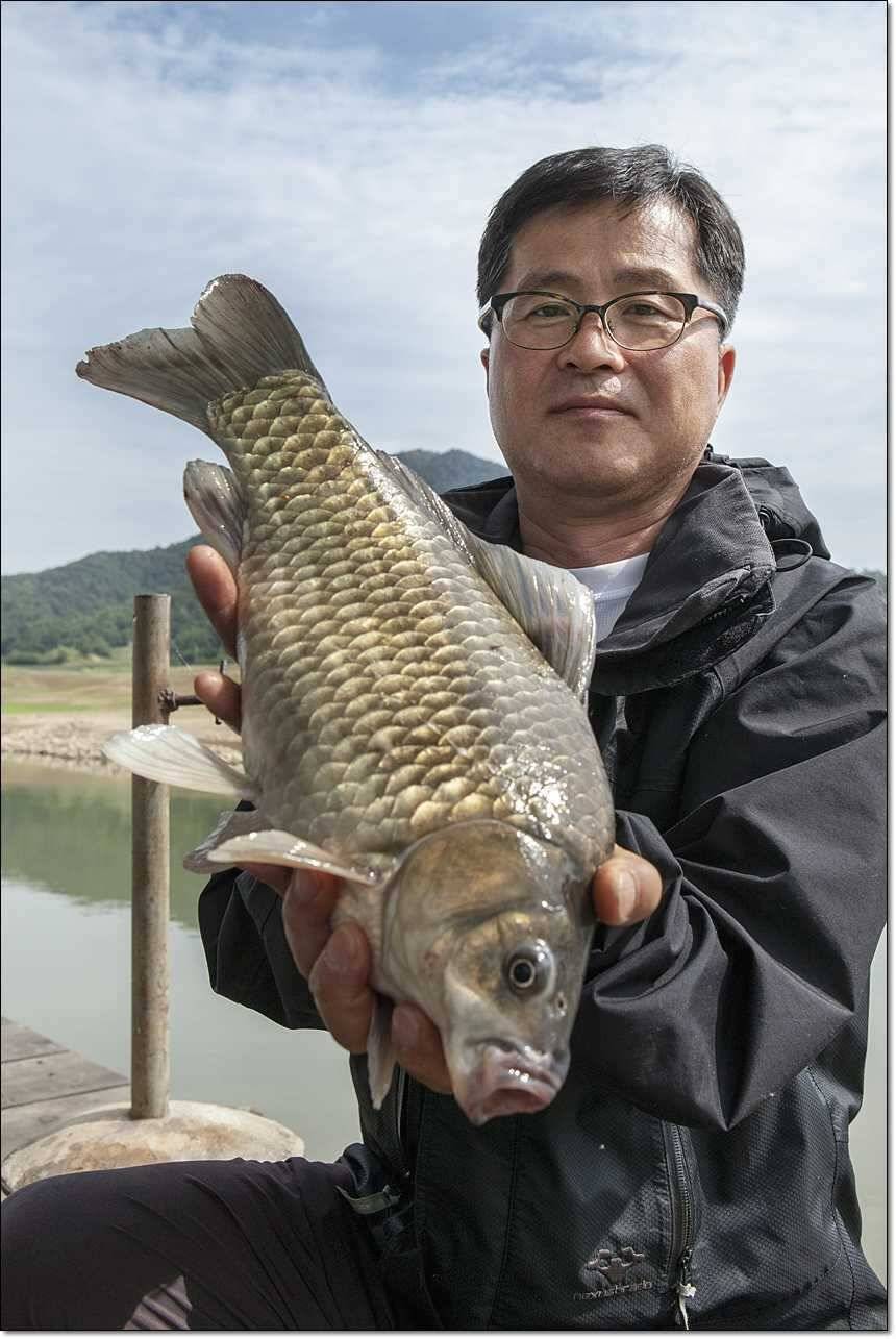 대류 한버들 사짜 대물 (조황조행기 - 특파원조황)