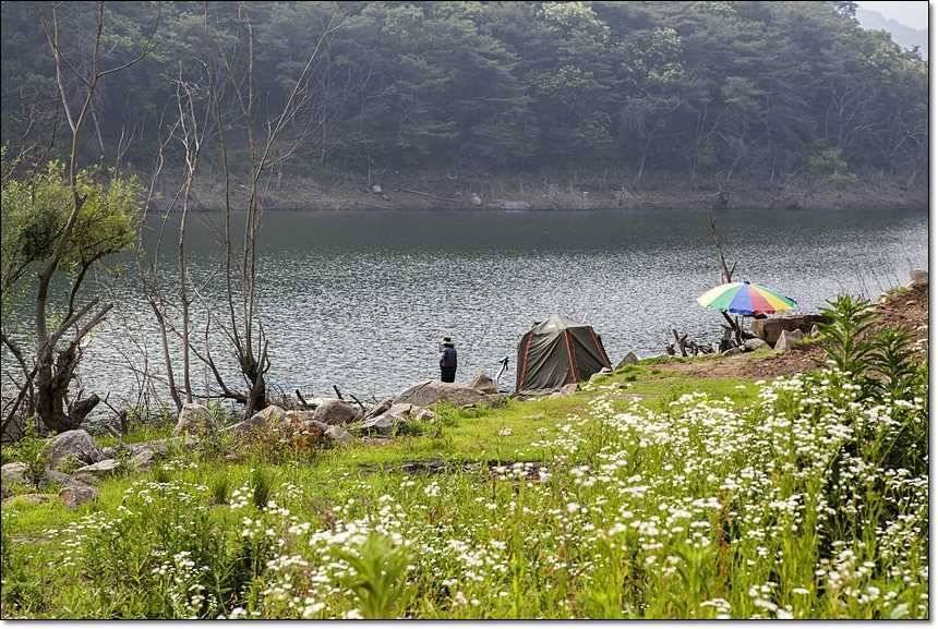 충주호 월척장어 (조황조행기 - 특파원조황)