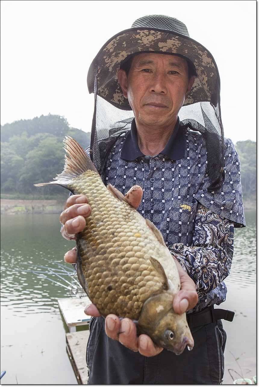충주호 월척장어 (조황조행기 - 특파원조황)