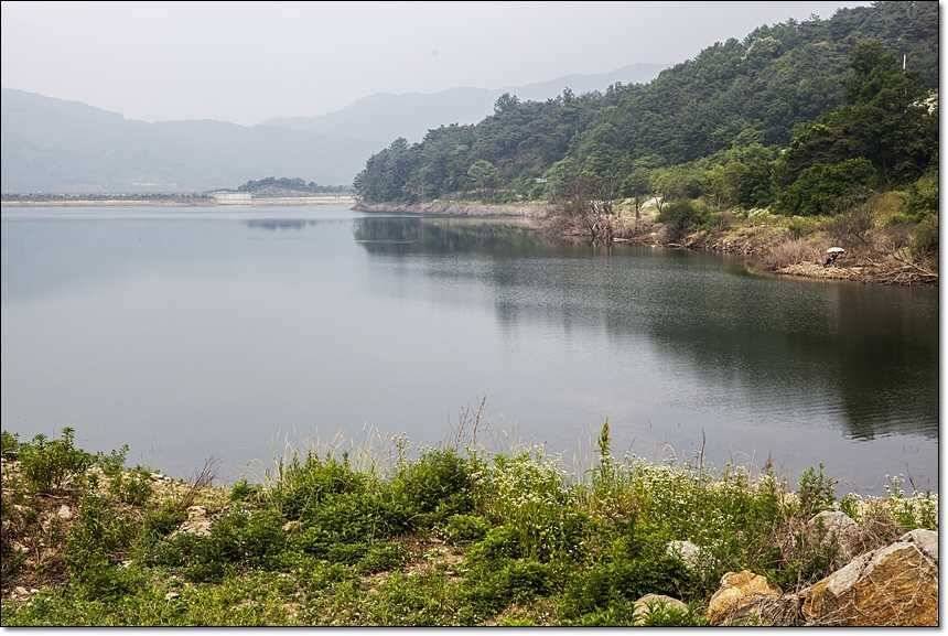 충주호 월척장어 (조황조행기 - 특파원조황)