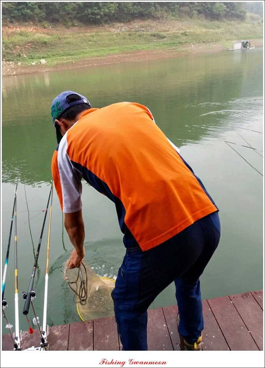 한버들돌감실리곡 조황 (조황조행기 - 특파원조황)