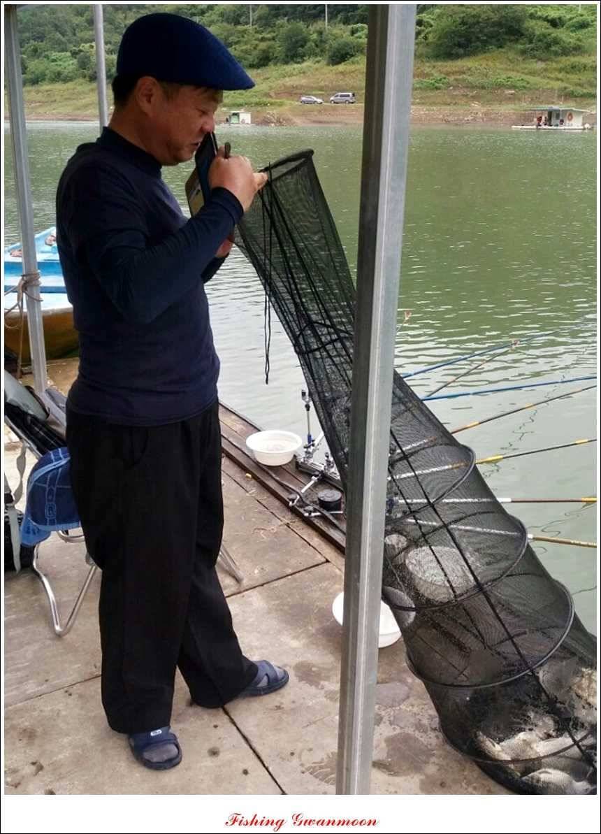실리곡 호조황한버들화곡지 조황 (조황조행기 - 특파원조황)