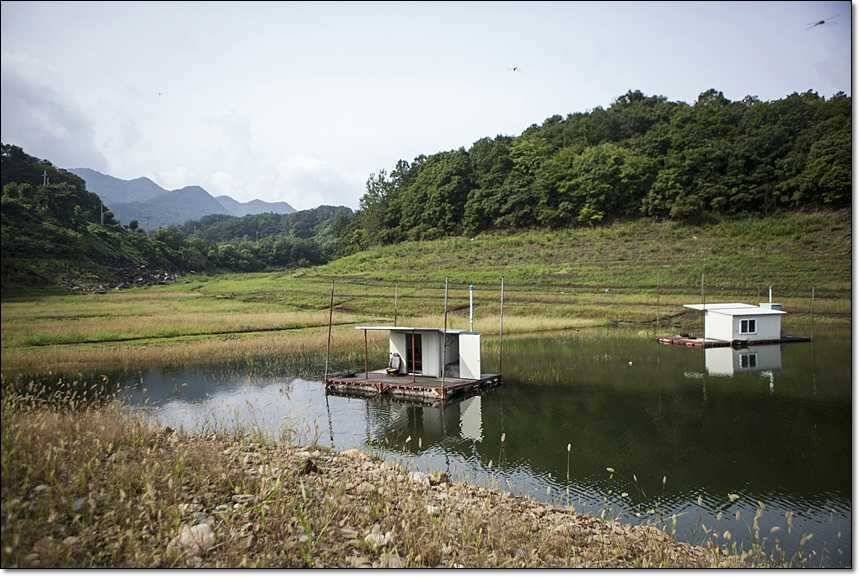 병호한버들충도지 월척 (조황조행기 - 특파원조황)