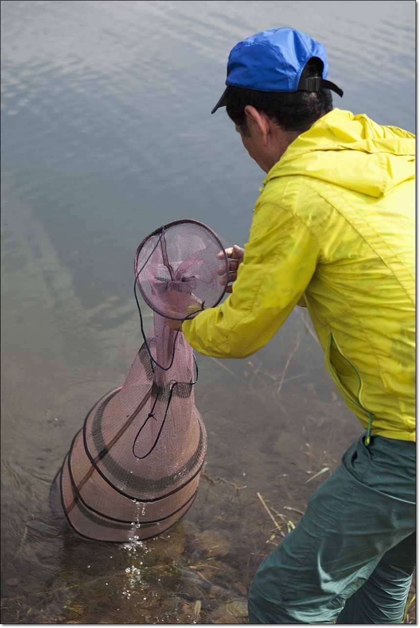 병호한버들충도지 월척 (조황조행기 - 특파원조황)
