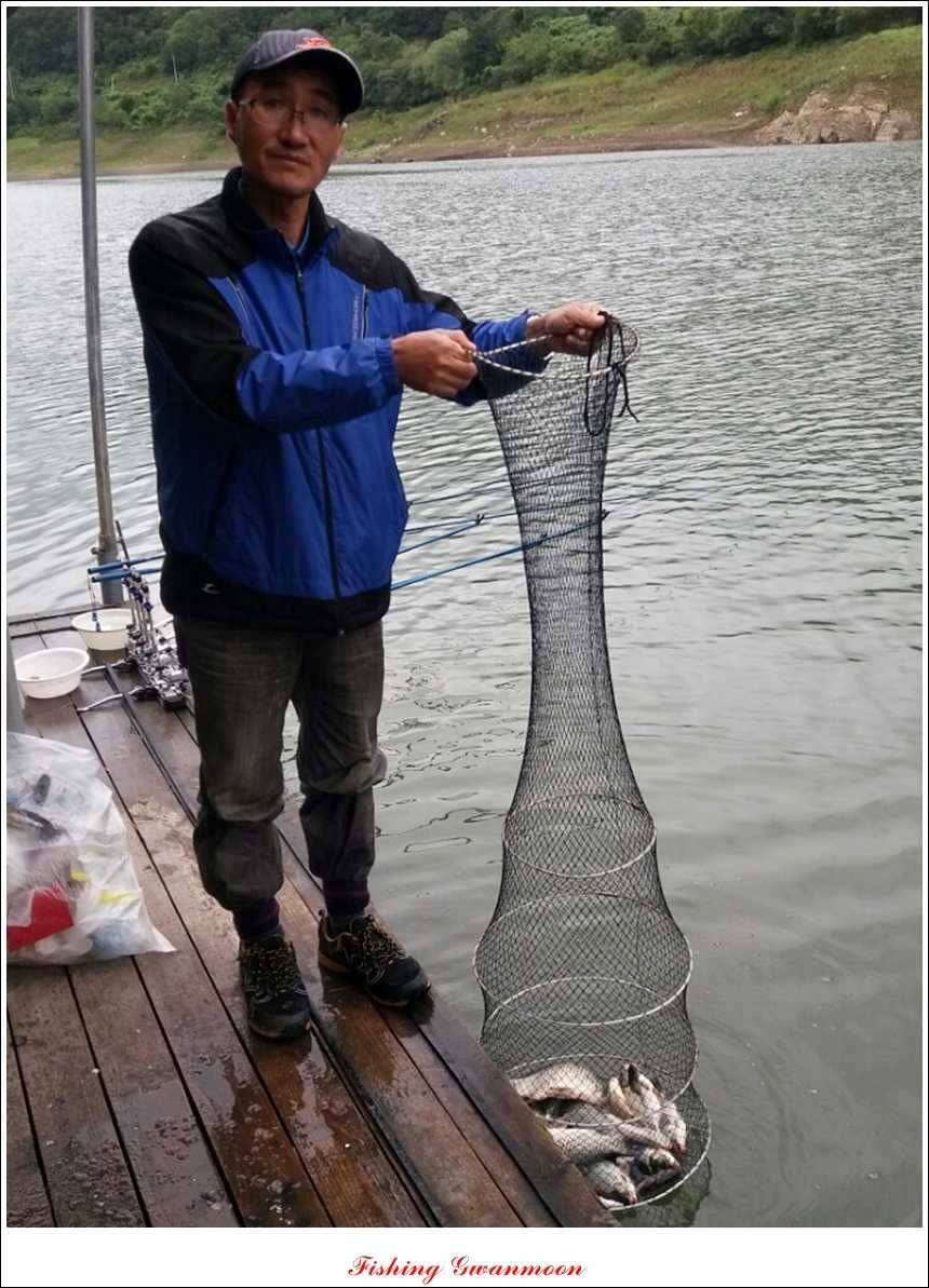 실리곡 호조황한버들화곡지 조황 (조황조행기 - 특파원조황)