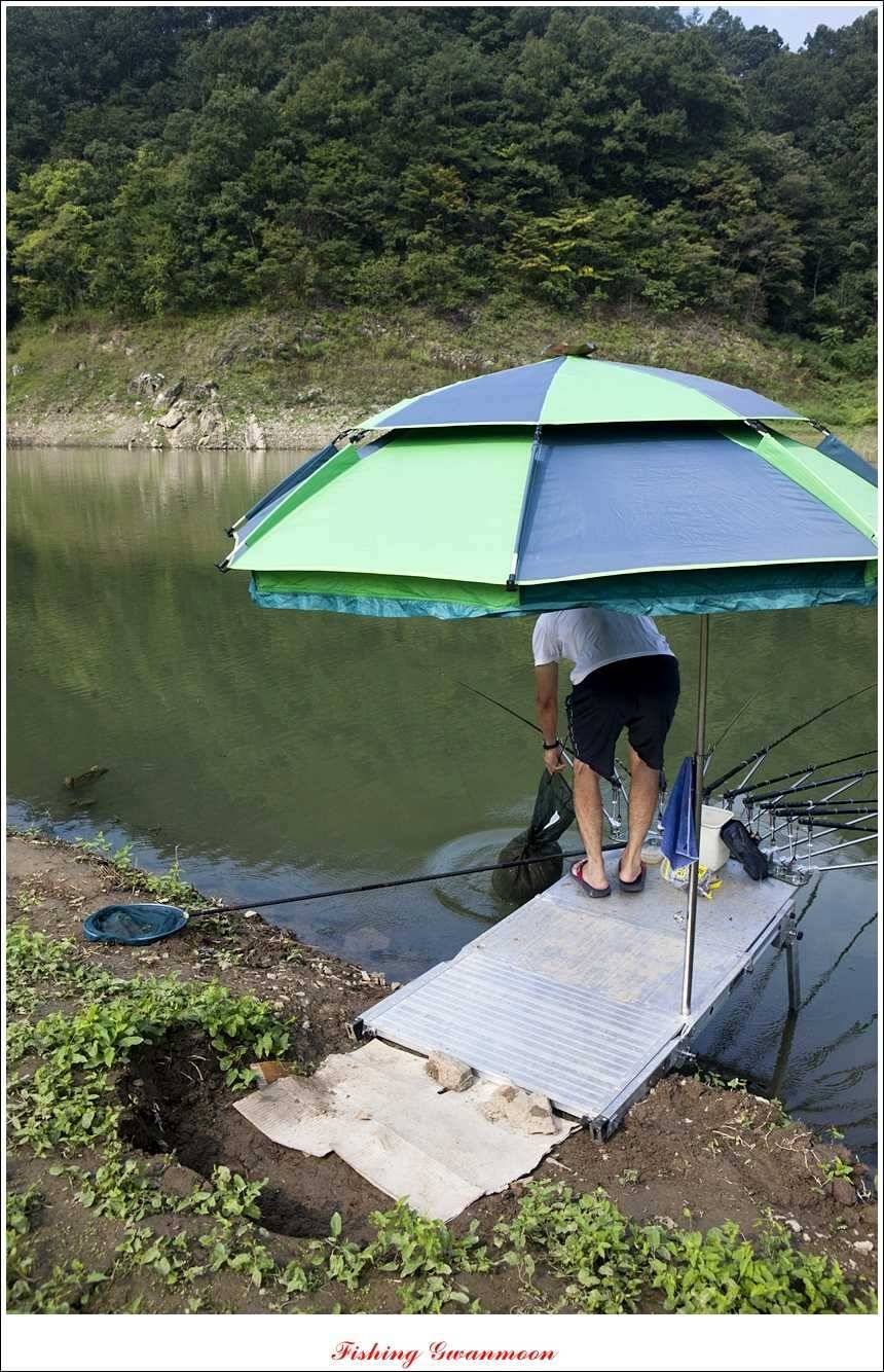 한버들돌감실리곡 조황 (조황조행기 - 특파원조황)