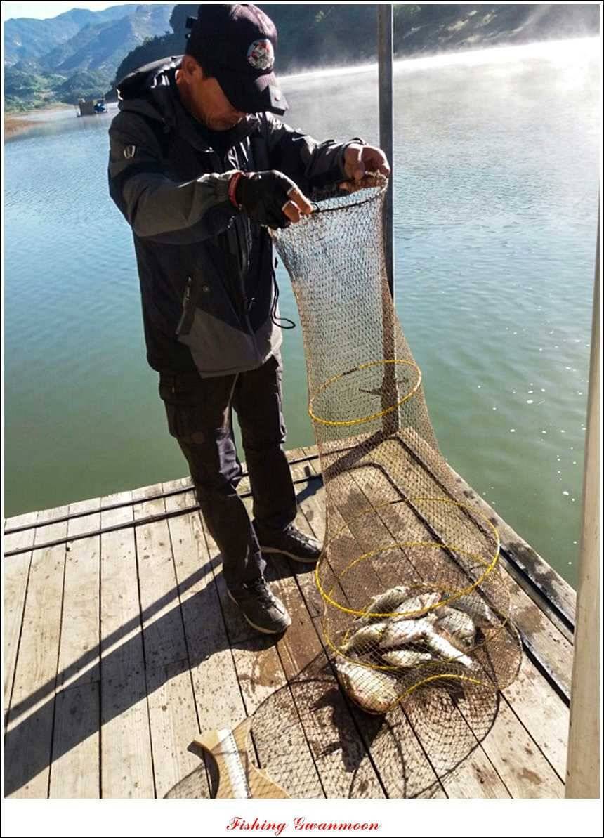 실리곡 호조황한버들화곡지 조황 (조황조행기 - 특파원조황)