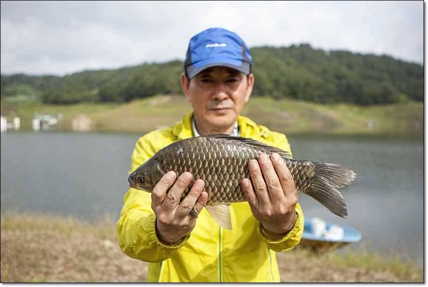 병호한버들충도지 월척 (조황조행기 - 특파원조황)