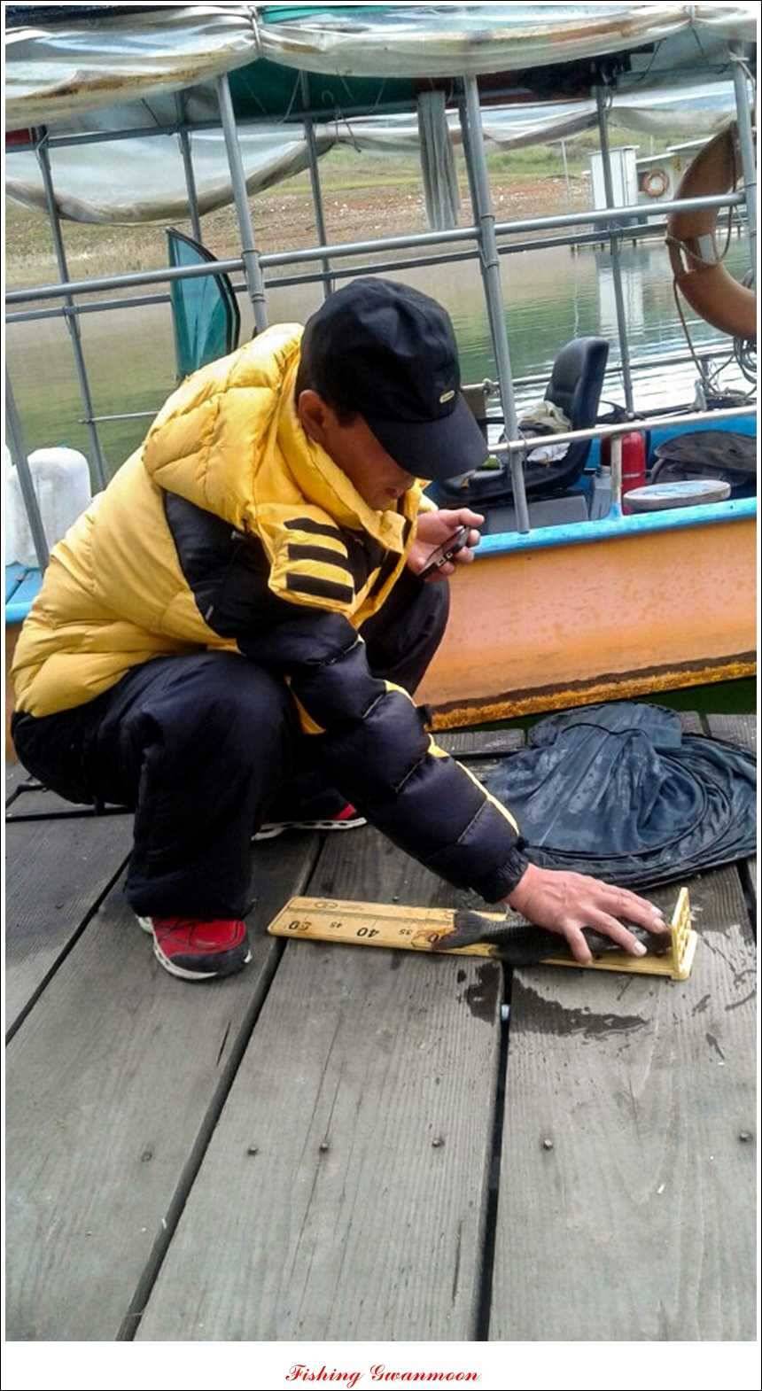 실리곡 호조황한버들화곡지 조황 (조황조행기 - 특파원조황)