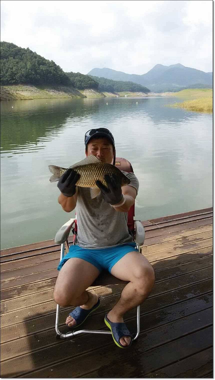 병호한버들충도지 월척 (조황조행기 - 특파원조황)