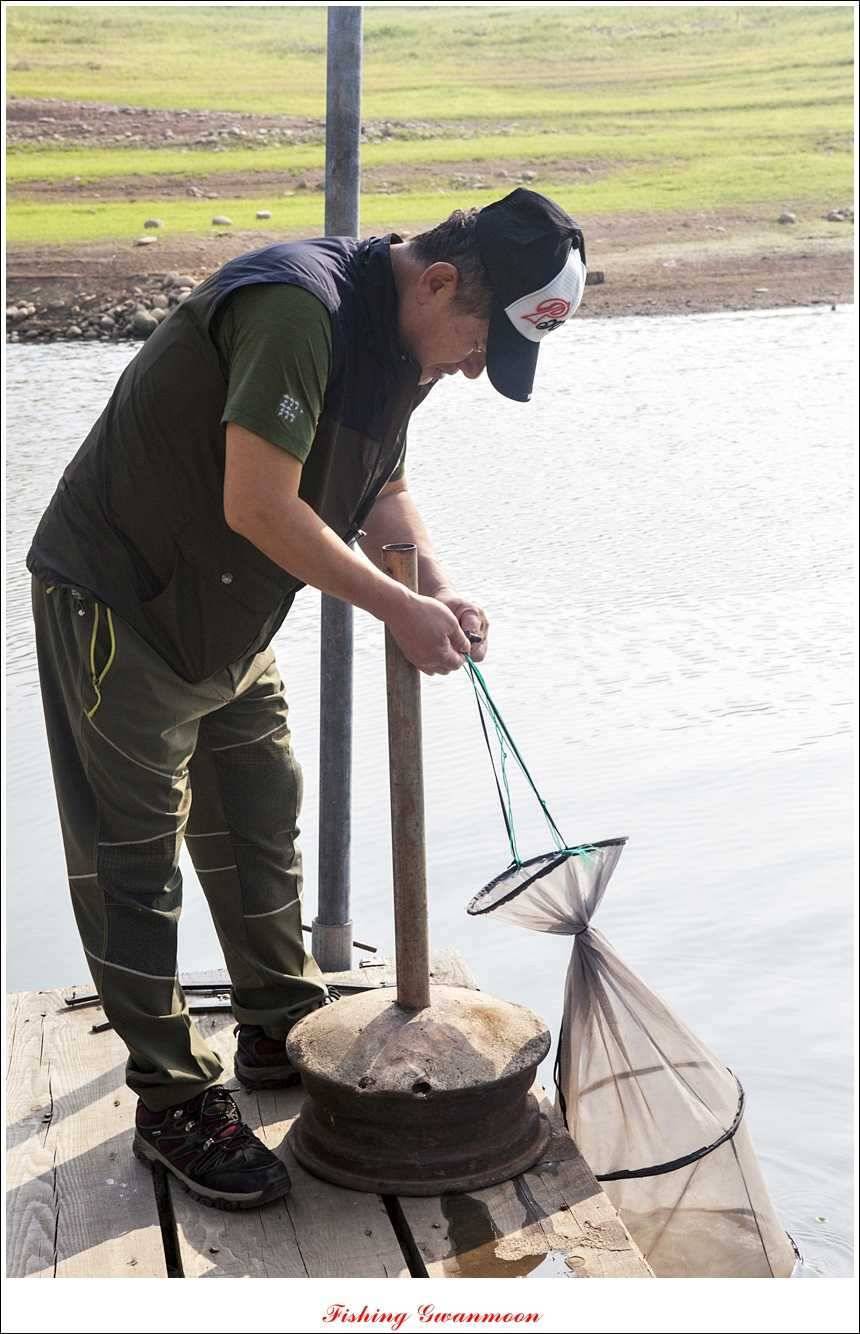 대류 한버들 435 cm39 cm38 cm돌감병호 조황 (조황조행기 - 특파원조황)