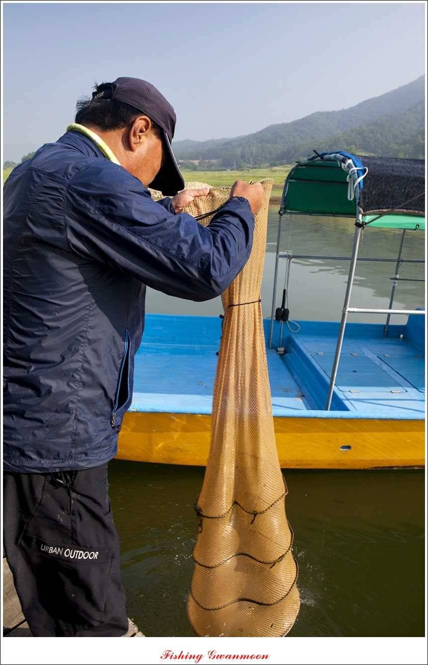 대류 한버들 435 cm39 cm38 cm돌감병호 조황 (조황조행기 - 특파원조황)