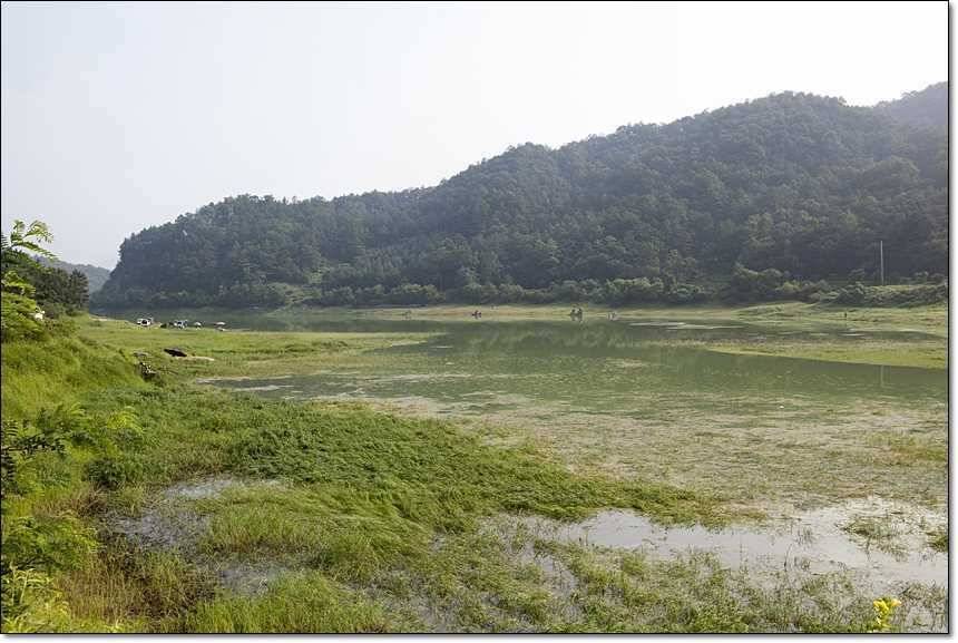 병호한버들충도지 월척 (조황조행기 - 특파원조황)