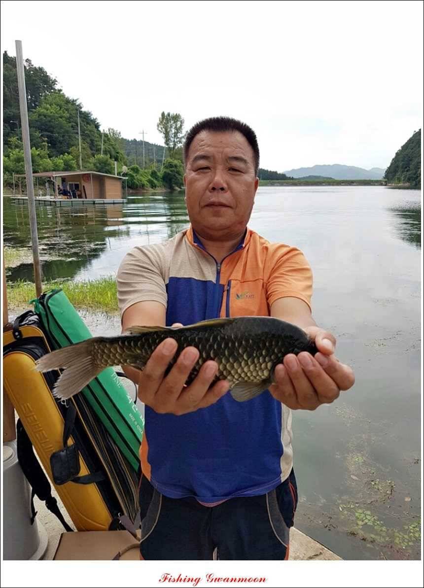 실리곡 호조황한버들화곡지 조황 (조황조행기 - 특파원조황)
