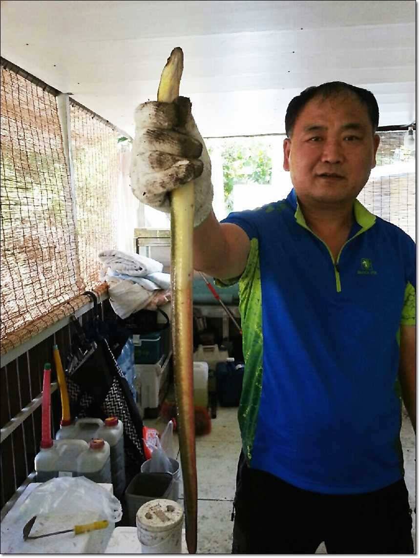 병호 39 cm늘푸른 장어 (조황조행기 - 특파원조황)