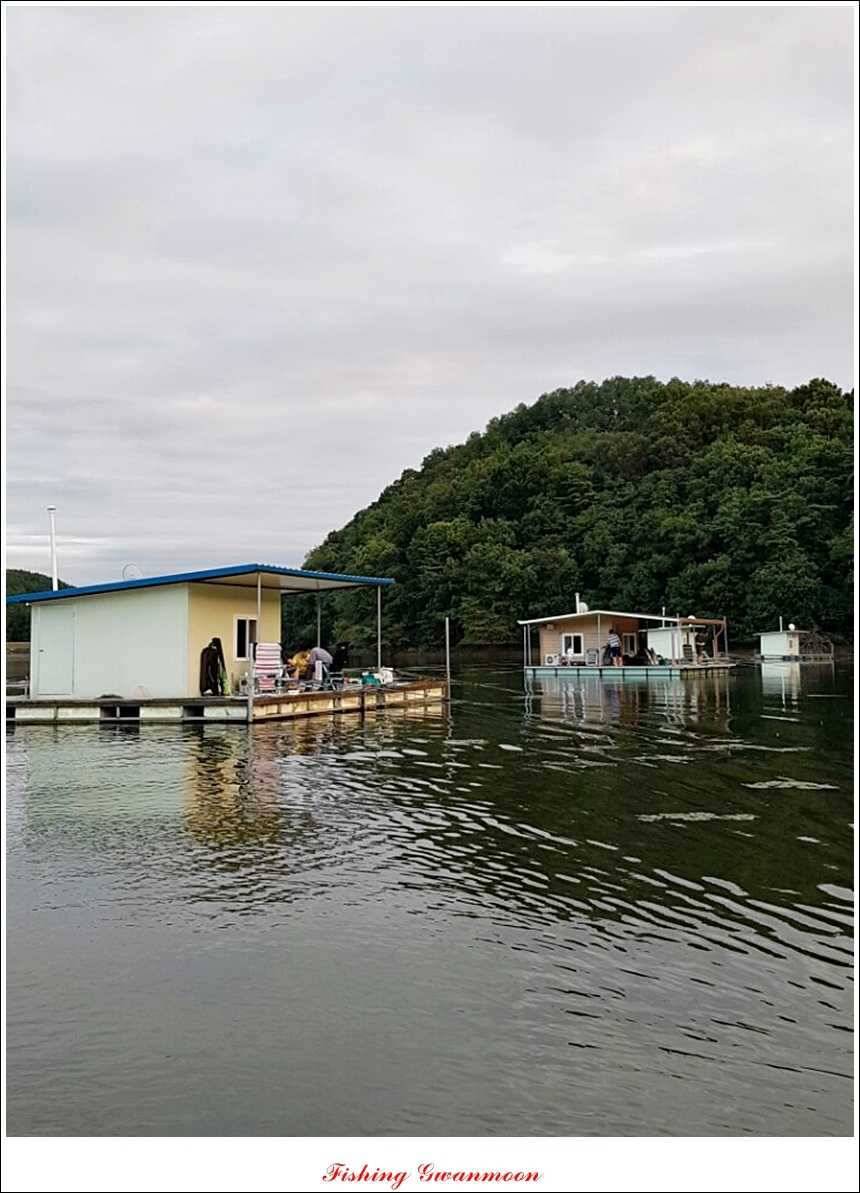 실리곡 호조황한버들화곡지 조황 (조황조행기 - 특파원조황)