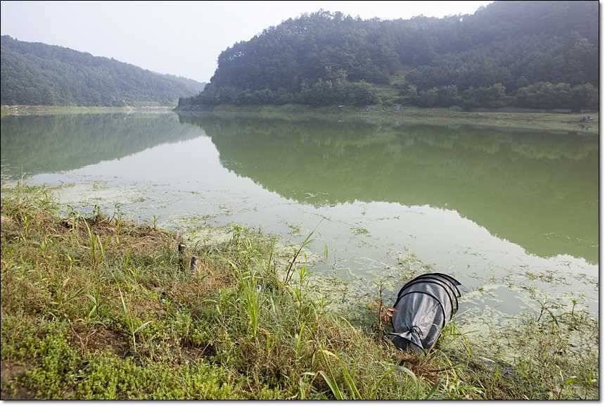 병호한버들충도지 월척 (조황조행기 - 특파원조황)