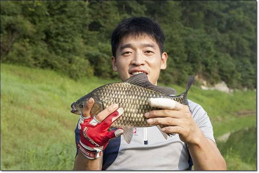 병호한버들충도지 월척 (조황조행기 - 특파원조황)