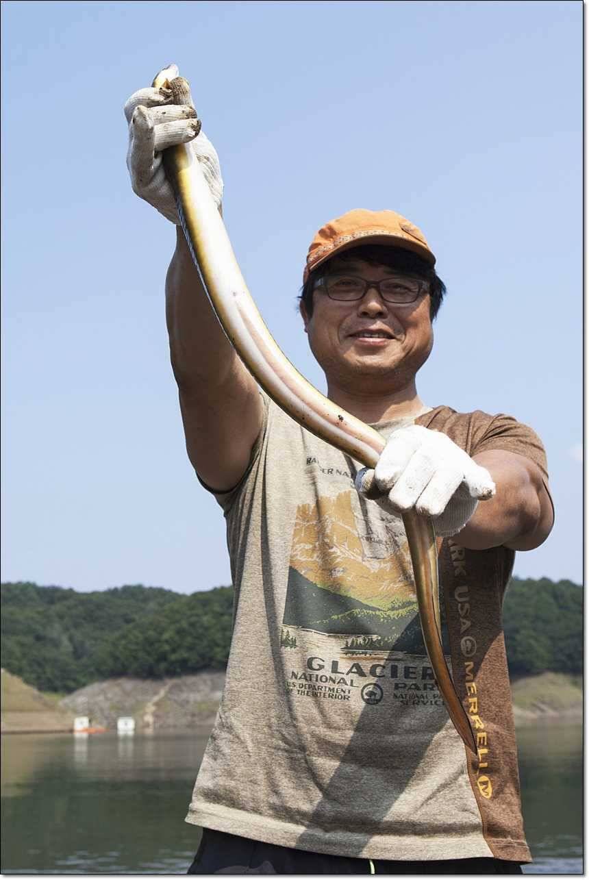 늘푸른 대물장어 대박한버들 39 센치 월척 (조황조행기 - 특파원조황)