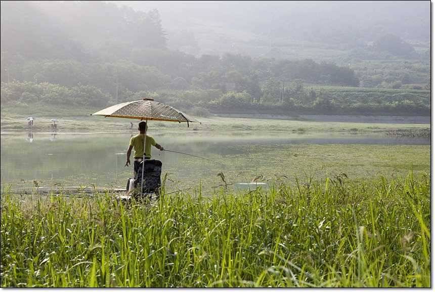 병호한버들충도지 월척 (조황조행기 - 특파원조황)