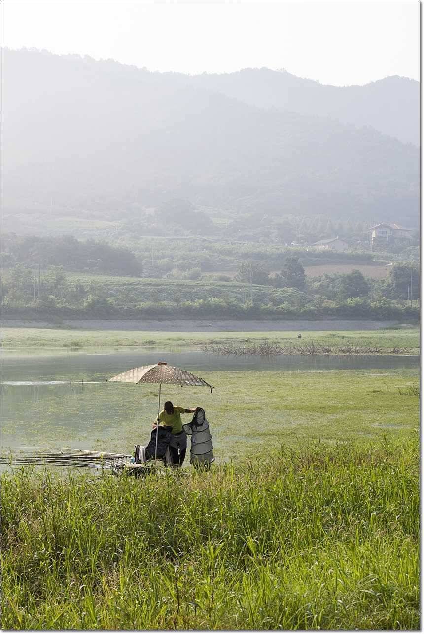 병호한버들충도지 월척 (조황조행기 - 특파원조황)