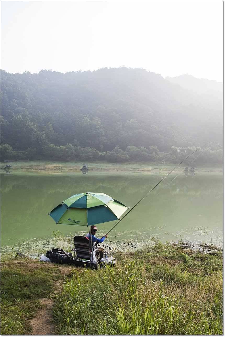 병호한버들충도지 월척 (조황조행기 - 특파원조황)