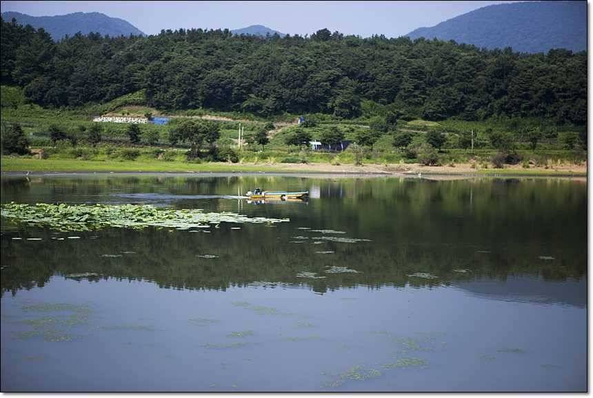 병호한버들충도지 월척 (조황조행기 - 특파원조황)