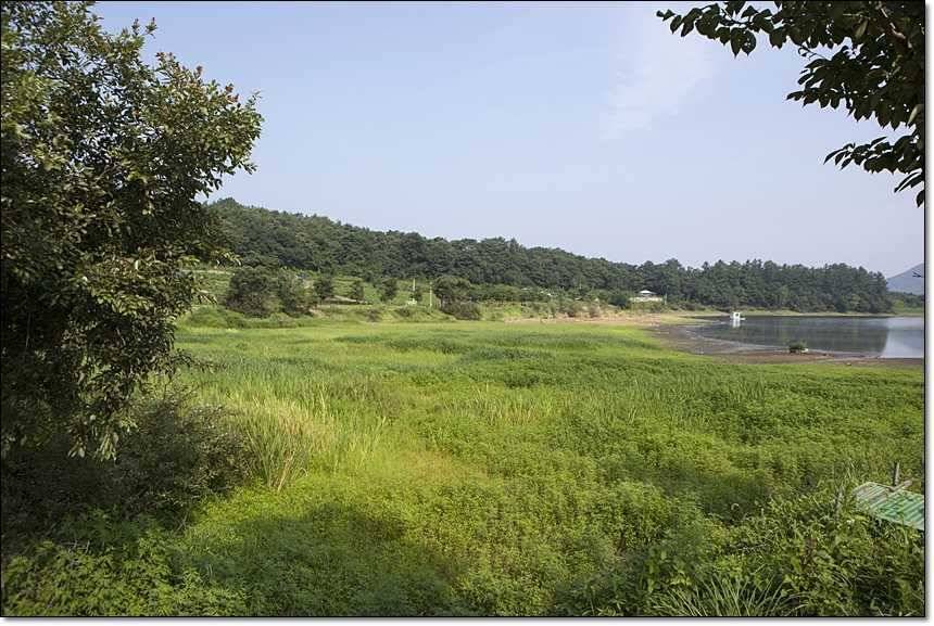 병호한버들충도지 월척 (조황조행기 - 특파원조황)