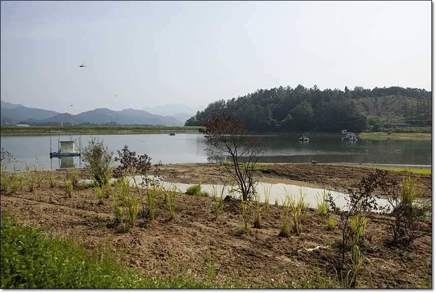 병호한버들충도지 월척 (조황조행기 - 특파원조황)