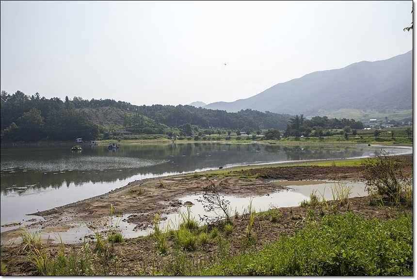 병호한버들충도지 월척 (조황조행기 - 특파원조황)