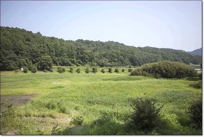 병호한버들충도지 월척 (조황조행기 - 특파원조황)