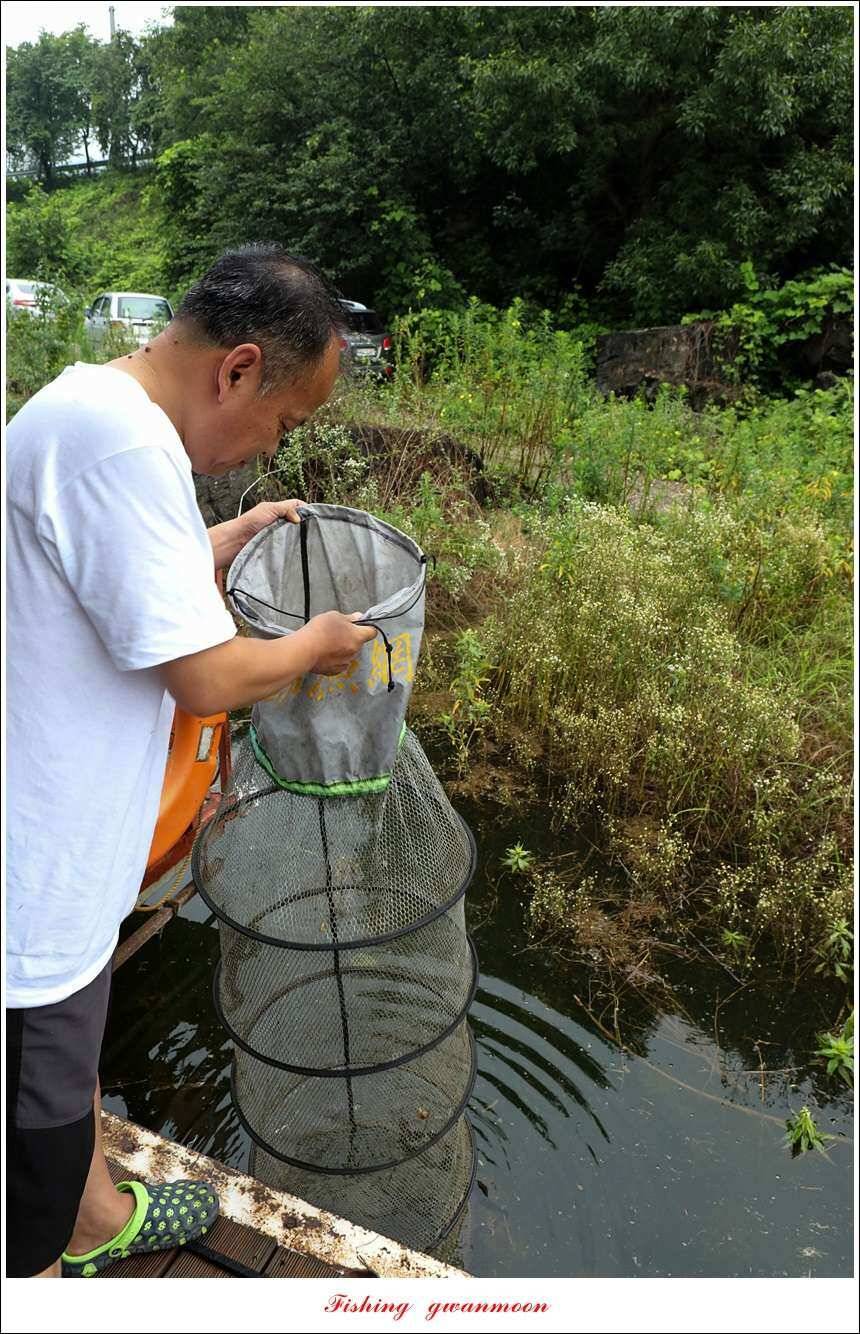신매늘푸른실리곡 조황 (조황조행기 - 특파원조황)