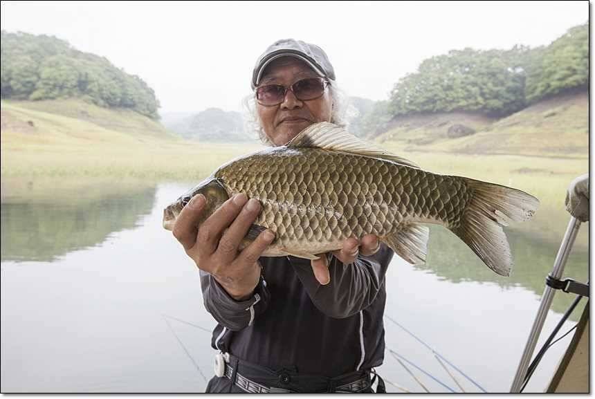 신매 사짜돌감 사짜 (조황조행기 - 특파원조황)
