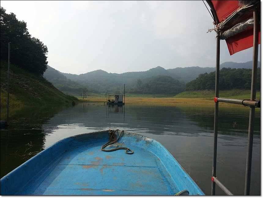 솔 병호 돌감 주말조황 (조황조행기 - 특파원조황)