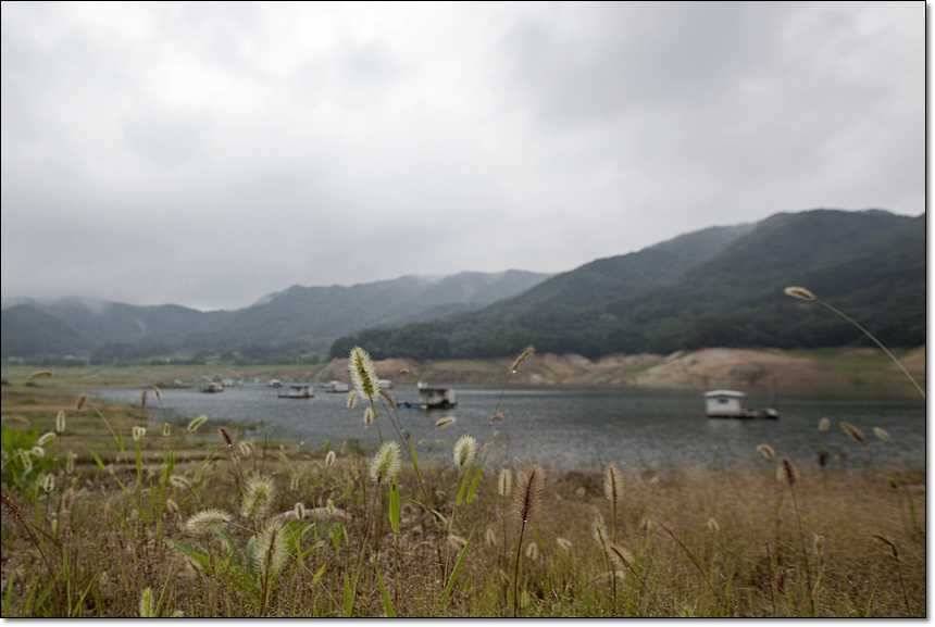 솔 병호 돌감 주말조황 (조황조행기 - 특파원조황)