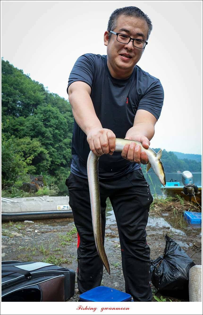 신매늘푸른실리곡 조황 (조황조행기 - 특파원조황)