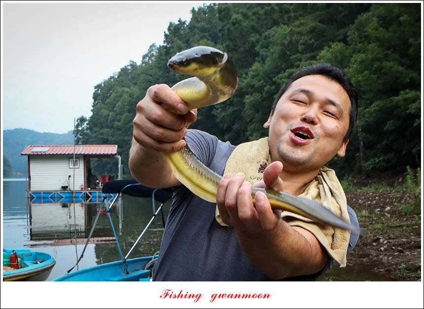 신매늘푸른실리곡 조황 (조황조행기 - 특파원조황)
