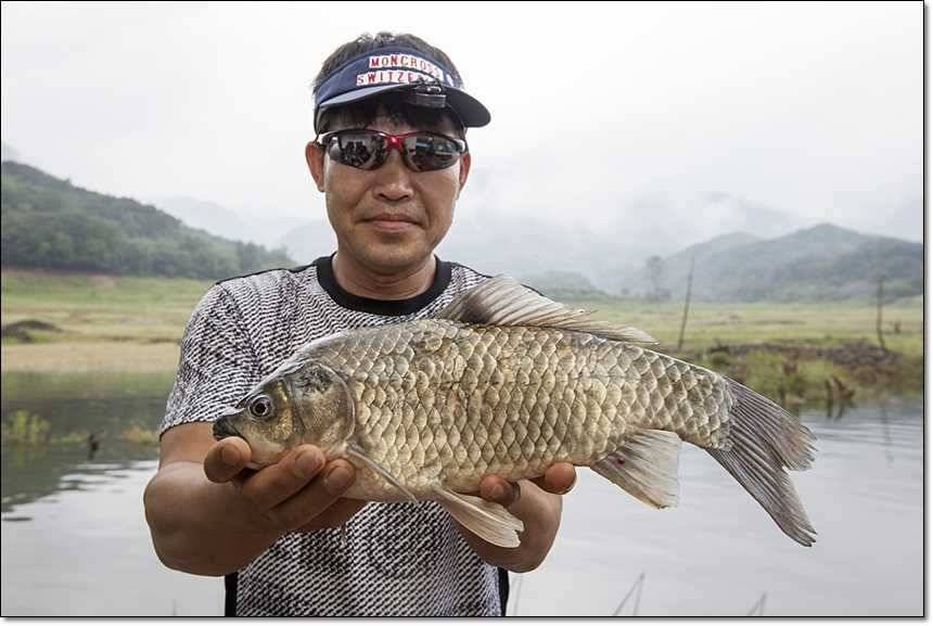 솔 병호 돌감 주말조황 (조황조행기 - 특파원조황)