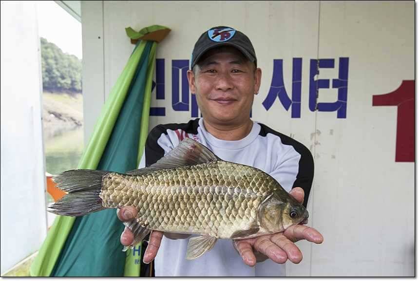 신매 사짜돌감 사짜 (조황조행기 - 특파원조황)