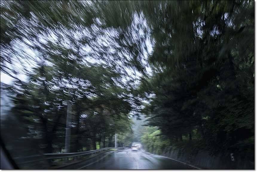 솔 병호 돌감 주말조황 (조황조행기 - 특파원조황)
