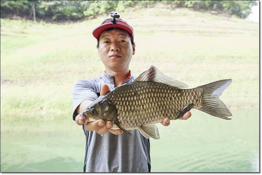 신매 사짜돌감 사짜 (조황조행기 - 특파원조황)