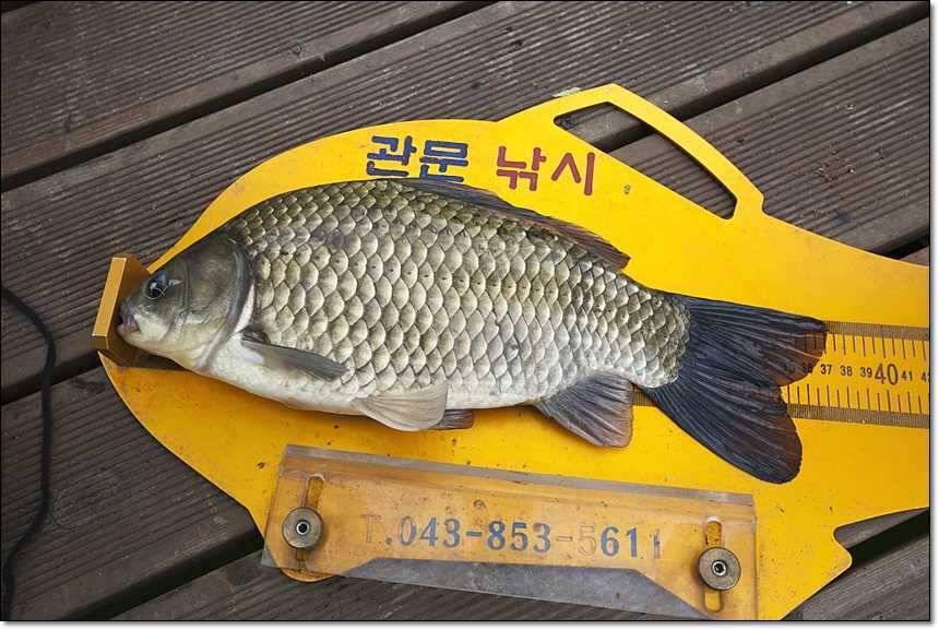 충주호칠성지 (조황조행기 - 특파원조황)